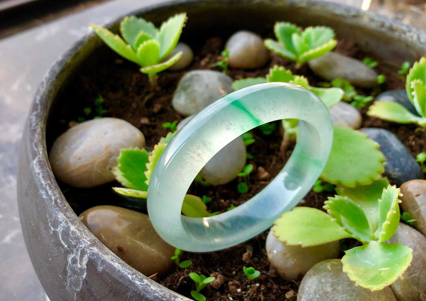 Natural Jadeite Bangle